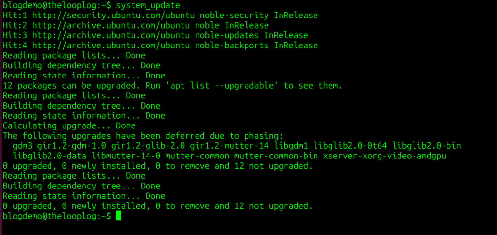 Invoking the system_update custom script.